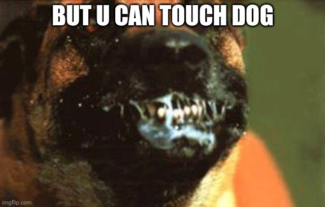 Rabid Dog | BUT U CAN TOUCH DOG | image tagged in rabid dog | made w/ Imgflip meme maker