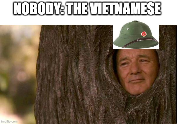 THEIR IN THE TREES!! | NOBODY: THE VIETNAMESE | image tagged in stay in the trees | made w/ Imgflip meme maker