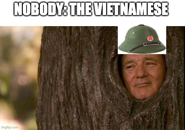 THEY ARE IN THE TREES!! | NOBODY: THE VIETNAMESE | image tagged in stay in the trees | made w/ Imgflip meme maker