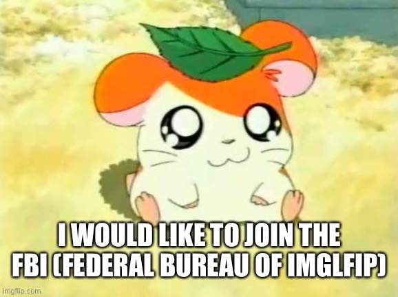 I would like to apply | I WOULD LIKE TO JOIN THE FBI (FEDERAL BUREAU OF IMGLFIP) | image tagged in memes,hamtaro | made w/ Imgflip meme maker