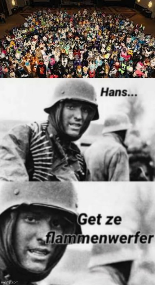 Get the Flammenwerfer | image tagged in hans get ze flammenwerfer | made w/ Imgflip meme maker