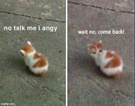 No talk me I angy, wait no, come back! | image tagged in no talk me i angy wait no come back | made w/ Imgflip meme maker