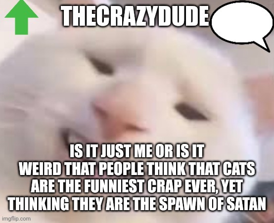 TheCrazyDude Temp 2022 | IS IT JUST ME OR IS IT WEIRD THAT PEOPLE THINK THAT CATS ARE THE FUNNIEST CRAP EVER, YET THINKING THEY ARE THE SPAWN OF SATAN | image tagged in thecrazydude temp 2022 | made w/ Imgflip meme maker