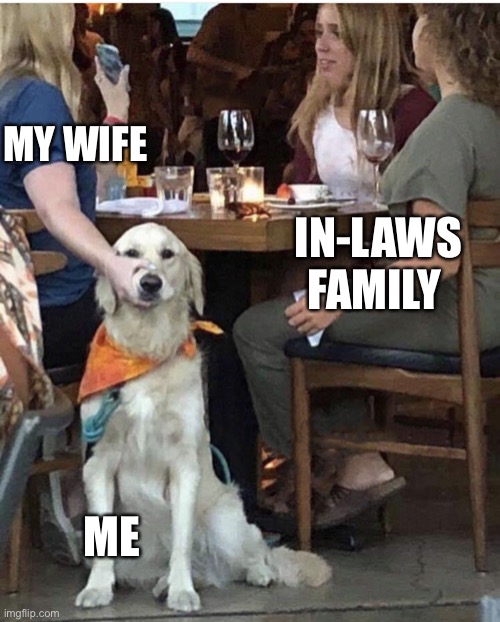 How you feel with family | MY WIFE; IN-LAWS FAMILY; ME | image tagged in lady holding dog mouth closed | made w/ Imgflip meme maker