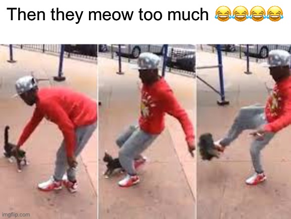 Then they meow too much 😂😂😂😂 | made w/ Imgflip meme maker