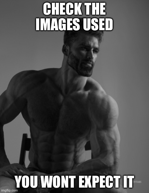 CHECK THE IMAGES USED; YOU WONT EXPECT IT | image tagged in e | made w/ Imgflip meme maker