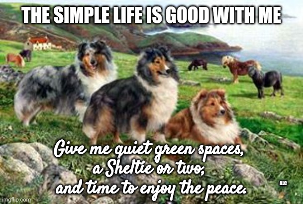 Simple Life | THE SIMPLE LIFE IS GOOD WITH ME; Give me quiet green spaces, 
a Sheltie or two, 
and time to enjoy the peace. ALC | image tagged in sheltie,peace,tranquility,green spaces | made w/ Imgflip meme maker