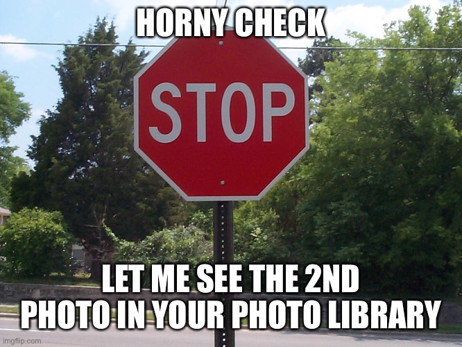 Stop sign | HORNY CHECK; LET ME SEE THE 2ND PHOTO IN YOUR PHOTO LIBRARY | image tagged in stop sign | made w/ Imgflip meme maker