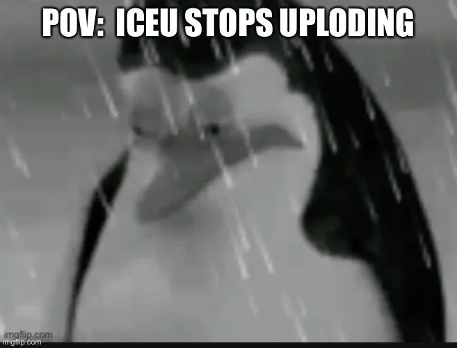 Hope this never happened or else zad | POV:  ICEU STOPS UPLODING | image tagged in sadness,stop | made w/ Imgflip meme maker