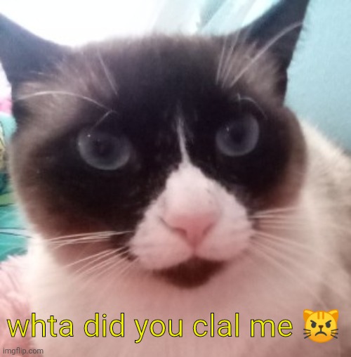 whta did you clal me ? | made w/ Imgflip meme maker