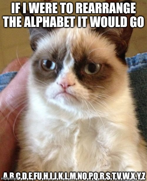 Grumpy Cat Meme | IF I WERE TO REARRANGE THE ALPHABET IT WOULD GO; A,B,C,D,E,FU,H,I,J,K,L,M,NO,P,Q,R,S,T,V,W,X,Y,Z | image tagged in memes,grumpy cat | made w/ Imgflip meme maker