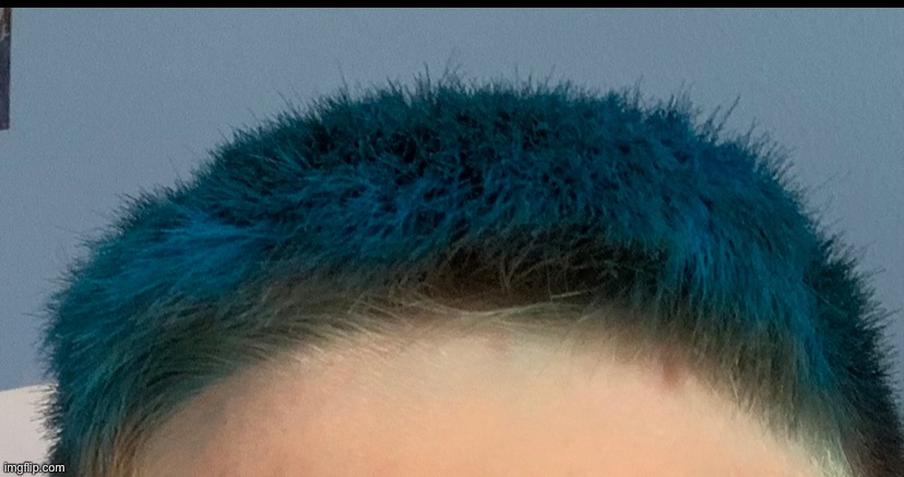 One time I dyed my hair blue | made w/ Imgflip meme maker