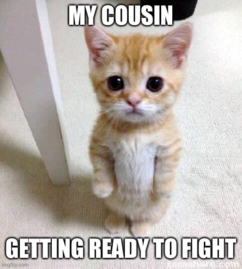 What’s a tag | MY COUSIN; GETTING READY TO FIGHT | image tagged in memes,cute cat | made w/ Imgflip meme maker