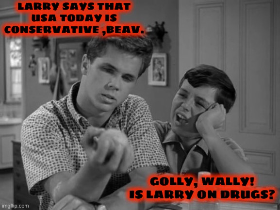 LARRY SAYS THAT USA TODAY IS CONSERVATIVE ,BEAV. GOLLY, WALLY! IS LARRY ON DRUGS? | made w/ Imgflip meme maker