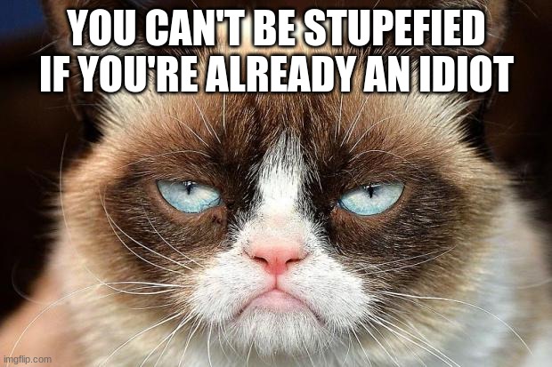 Grumpy Cat Not Amused Meme | YOU CAN'T BE STUPEFIED IF YOU'RE ALREADY AN IDIOT | image tagged in memes,grumpy cat not amused,grumpy cat | made w/ Imgflip meme maker