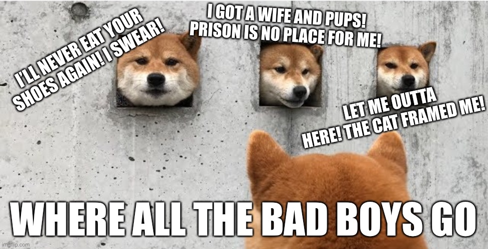 dogecetraz | I GOT A WIFE AND PUPS! PRISON IS NO PLACE FOR ME! I’LL NEVER EAT YOUR SHOES AGAIN! I SWEAR! LET ME OUTTA HERE! THE CAT FRAMED ME! WHERE ALL THE BAD BOYS GO | image tagged in the doge council,doge,prison | made w/ Imgflip meme maker