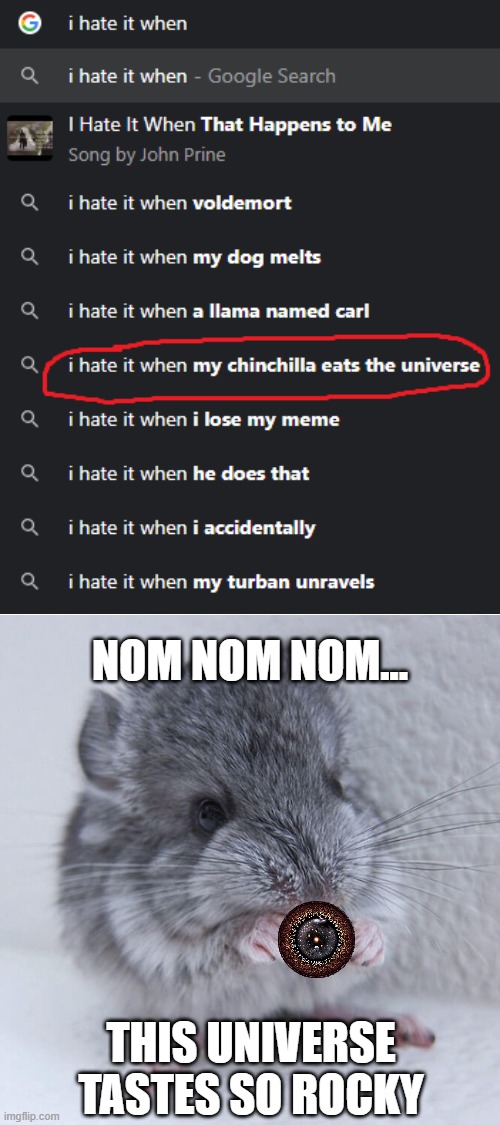 My chinchilla eating the universe |  NOM NOM NOM... THIS UNIVERSE TASTES SO ROCKY | image tagged in blank white template,google search,chinchilla,universe | made w/ Imgflip meme maker