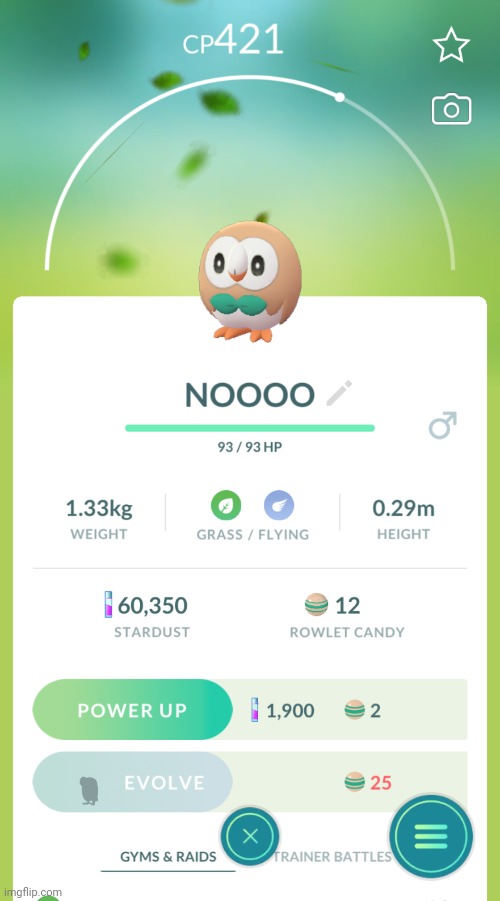 WHY | made w/ Imgflip meme maker