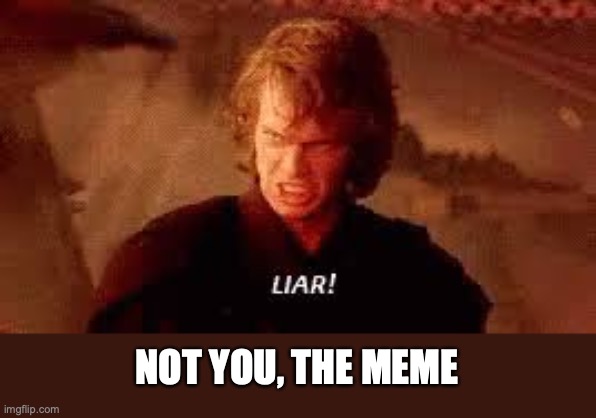 Anakin Liar | NOT YOU, THE MEME | image tagged in anakin liar | made w/ Imgflip meme maker