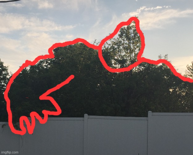 this tree looks like a monster | made w/ Imgflip meme maker