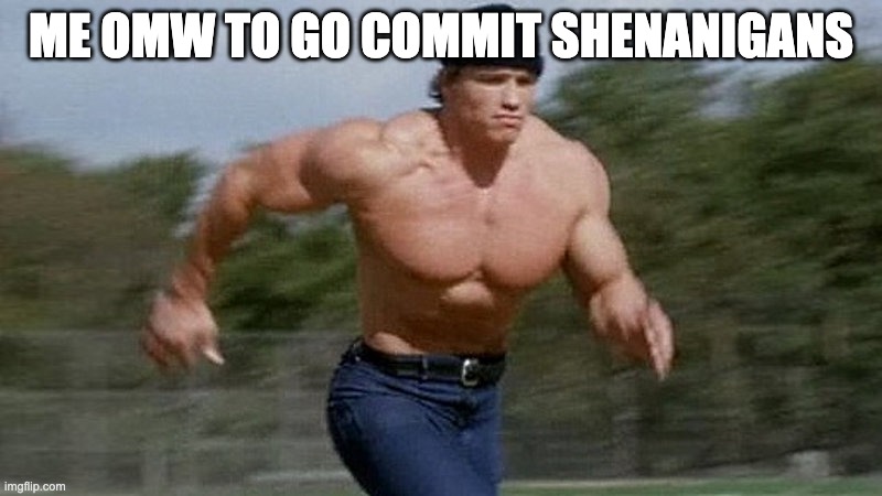 shenanigan time | ME OMW TO GO COMMIT SHENANIGANS | image tagged in running arnold | made w/ Imgflip meme maker