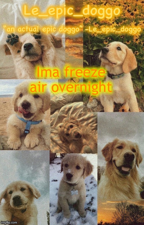 Doggo temp by doggo. Wait what that’s confusing | Ima freeze air overnight | image tagged in doggo temp by doggo wait what that s confusing | made w/ Imgflip meme maker