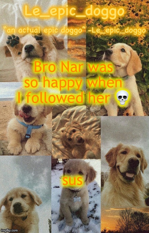 Doggo temp by doggo. Wait what that’s confusing | Bro Nar was so happy when I followed her 💀; sus | image tagged in doggo temp by doggo wait what that s confusing | made w/ Imgflip meme maker