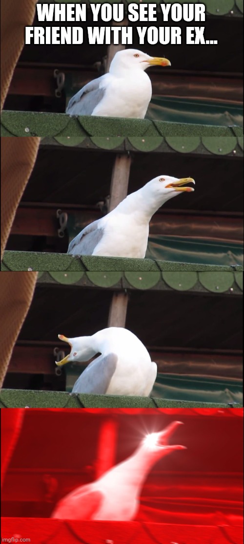 Never Gave Up | WHEN YOU SEE YOUR FRIEND WITH YOUR EX... | image tagged in memes,inhaling seagull | made w/ Imgflip meme maker