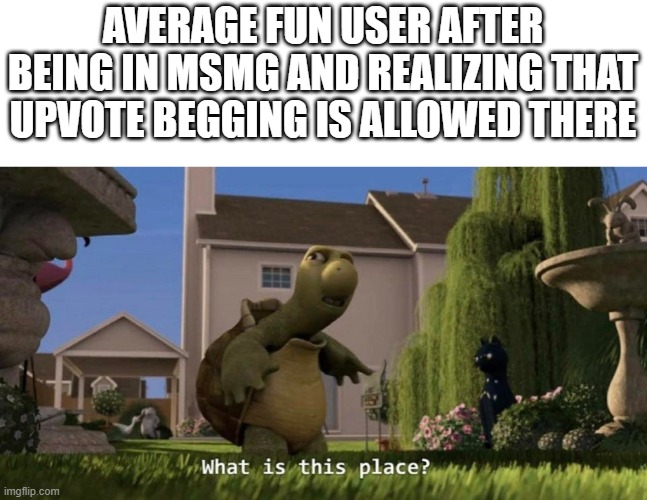 What is this place | AVERAGE FUN USER AFTER BEING IN MSMG AND REALIZING THAT UPVOTE BEGGING IS ALLOWED THERE | image tagged in what is this place | made w/ Imgflip meme maker