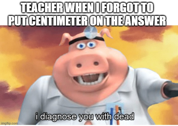 when | TEACHER WHEN I FORGOT TO PUT CENTIMETER ON THE ANSWER | image tagged in i diagnose you with dead,memes,school | made w/ Imgflip meme maker