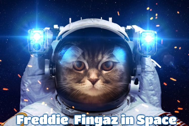 Space Cat 2 | Freddie  Fingaz in Space | image tagged in space cat 2,slavic,freddie fingaz,blacklabel jedih | made w/ Imgflip meme maker