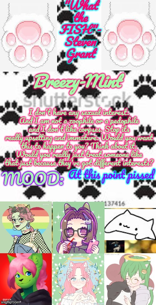 /J. I just finished fapping to gay furry anal hardcore child dead body porn. It was so hot, the dicks were so-- UWU *CUMS* | I don't have any sexual interest. And I am not a zoophile or a pedophile and I don't like corpses. Stop its really upsetting and immature. Would you want this to happen to you? Think about it. Would you really just treat someone like that just because they've got different interests? At this point pissed | image tagged in breezy-mint | made w/ Imgflip meme maker