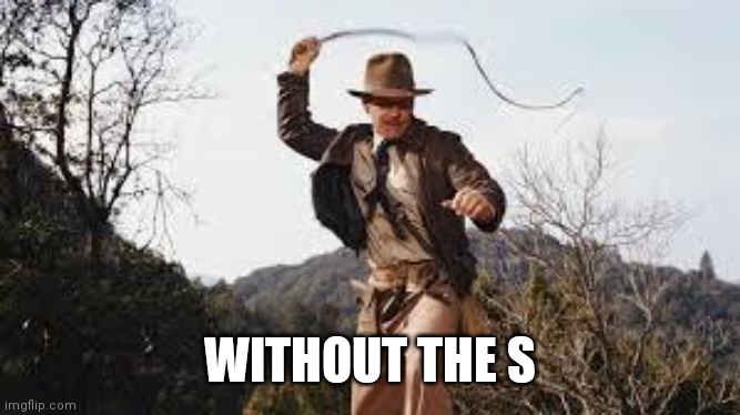 Whip | WITHOUT THE S | image tagged in whip | made w/ Imgflip meme maker