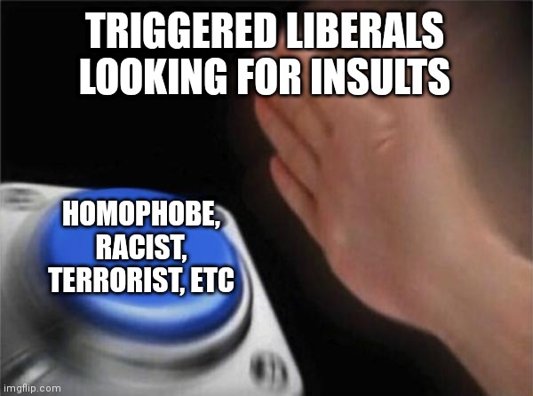 Blank Nut Button | TRIGGERED LIBERALS LOOKING FOR INSULTS; HOMOPHOBE, RACIST, TERRORIST, ETC | image tagged in memes,blank nut button,political meme | made w/ Imgflip meme maker