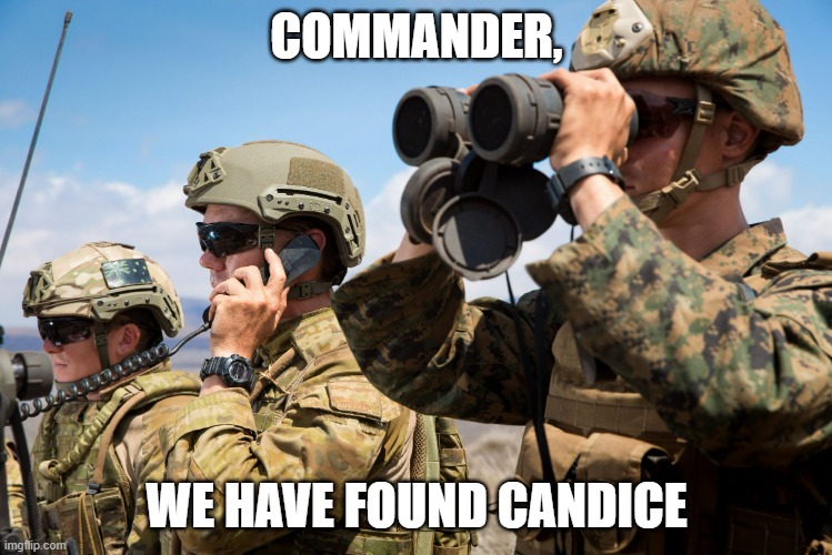 USMC Australian Army Soldiers Radio binoculars lookout | COMMANDER, WE HAVE FOUND CANDICE | image tagged in usmc australian army soldiers radio binoculars lookout | made w/ Imgflip meme maker