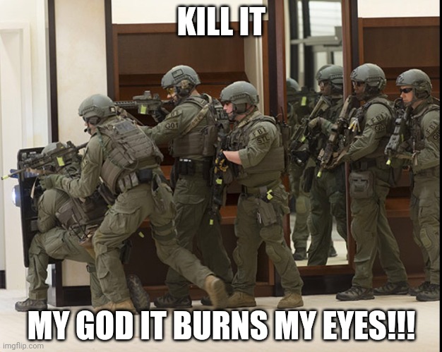 FBI SWAT | KILL IT MY GOD IT BURNS MY EYES!!! | image tagged in fbi swat | made w/ Imgflip meme maker