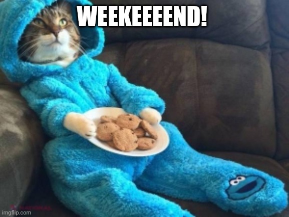 happy cat | WEEKEEEEND! | image tagged in cat | made w/ Imgflip meme maker