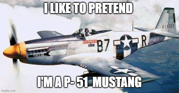 P-51 Mustang | I LIKE TO PRETEND; I'M A P- 51  MUSTANG | image tagged in p-51 mustang | made w/ Imgflip meme maker