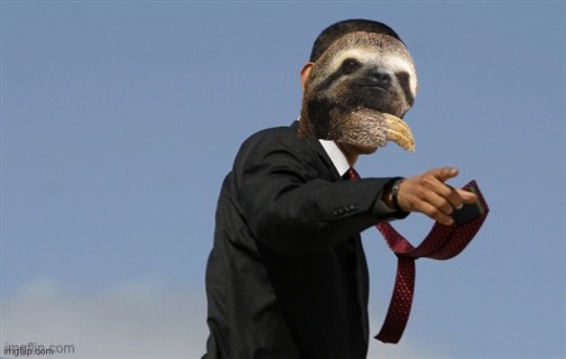 Sloth Obama | image tagged in sloth obama | made w/ Imgflip meme maker