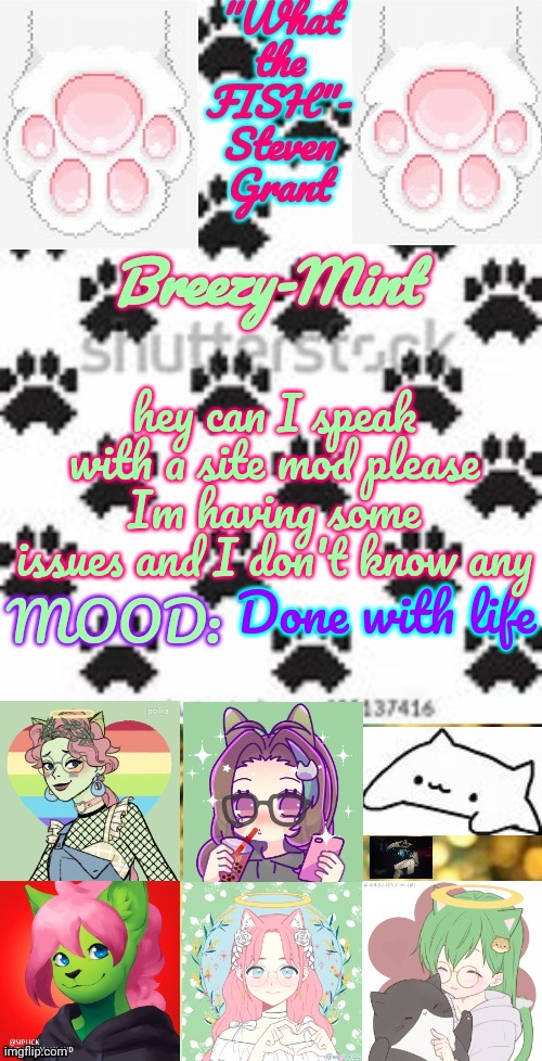 Breezy-Mint | hey can I speak with a site mod please Im having some issues and I don't know any; Done with life | image tagged in breezy-mint | made w/ Imgflip meme maker