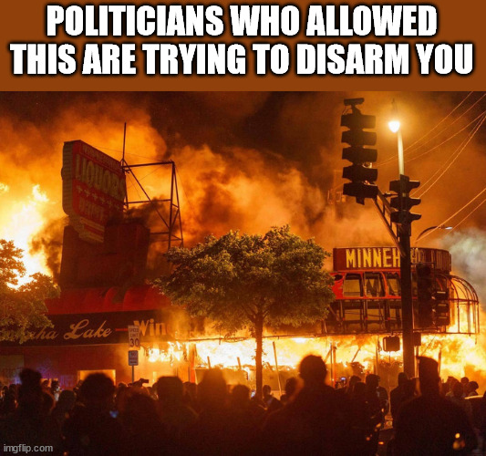 politicians who allowed this are trying to disarm you | POLITICIANS WHO ALLOWED THIS ARE TRYING TO DISARM YOU | image tagged in disarm you | made w/ Imgflip meme maker