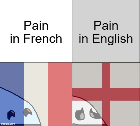Pain | Pain in French; Pain in English | image tagged in wandering husk,hollow knight,pain,french,english,language | made w/ Imgflip meme maker