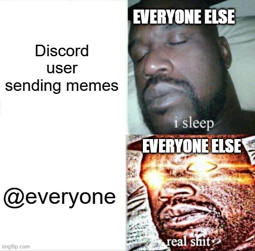 Ping! (Pong) | EVERYONE ELSE; Discord user sending memes; EVERYONE ELSE; @everyone | image tagged in memes,sleeping shaq,discord,everyone discord | made w/ Imgflip meme maker