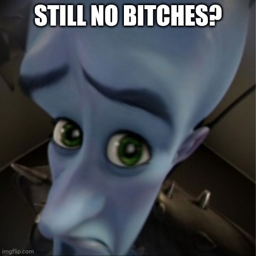 Megamind peeking | STILL NO BITCHES? | image tagged in megamind peeking | made w/ Imgflip meme maker