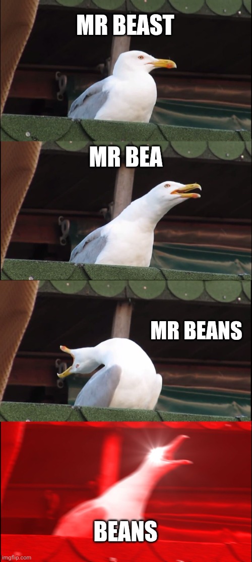 Inhaling Seagull | MR BEAST; MR BEA; MR BEANS; BEANS | image tagged in memes,inhaling seagull | made w/ Imgflip meme maker