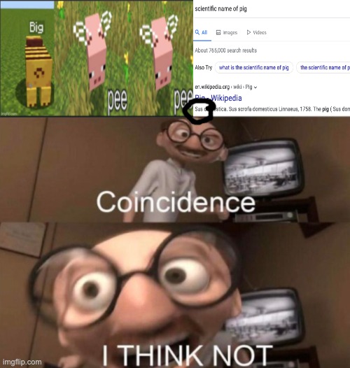 coincidence? I THINK NOT | image tagged in coincidence i think not,big peepee,minecraft,scientific name of pig | made w/ Imgflip meme maker