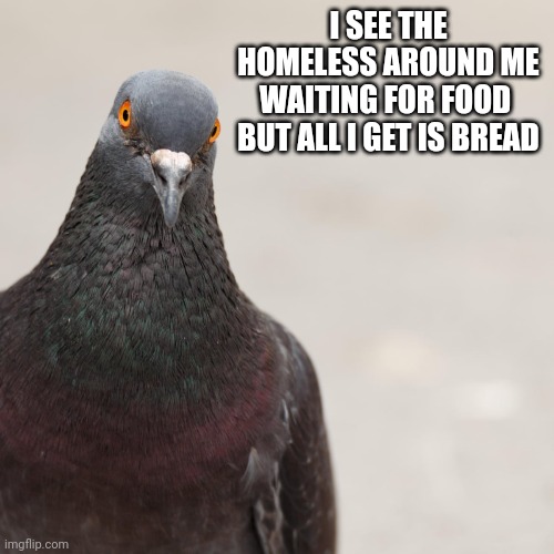 The situation at the parks | I SEE THE HOMELESS AROUND ME WAITING FOR FOOD 
BUT ALL I GET IS BREAD | image tagged in parks,homeless | made w/ Imgflip meme maker