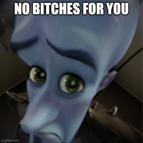 Megamind peeking | NO BITCHES FOR YOU | image tagged in megamind peeking | made w/ Imgflip meme maker
