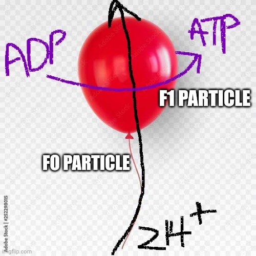 F1 PARTICLE; FO PARTICLE | made w/ Imgflip meme maker