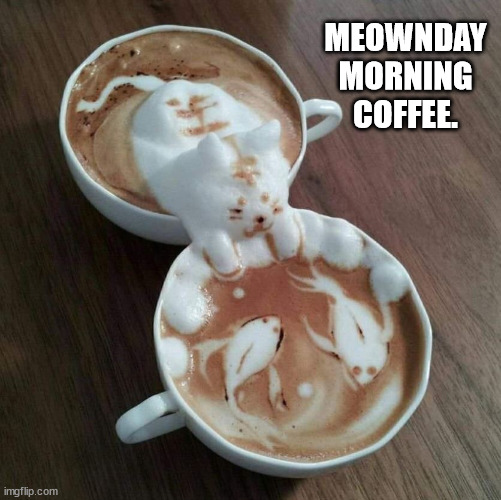 Monday Morning Coffee Cat. | MEOWNDAY
MORNING
COFFEE. | image tagged in cats,mondays,coffee | made w/ Imgflip meme maker
